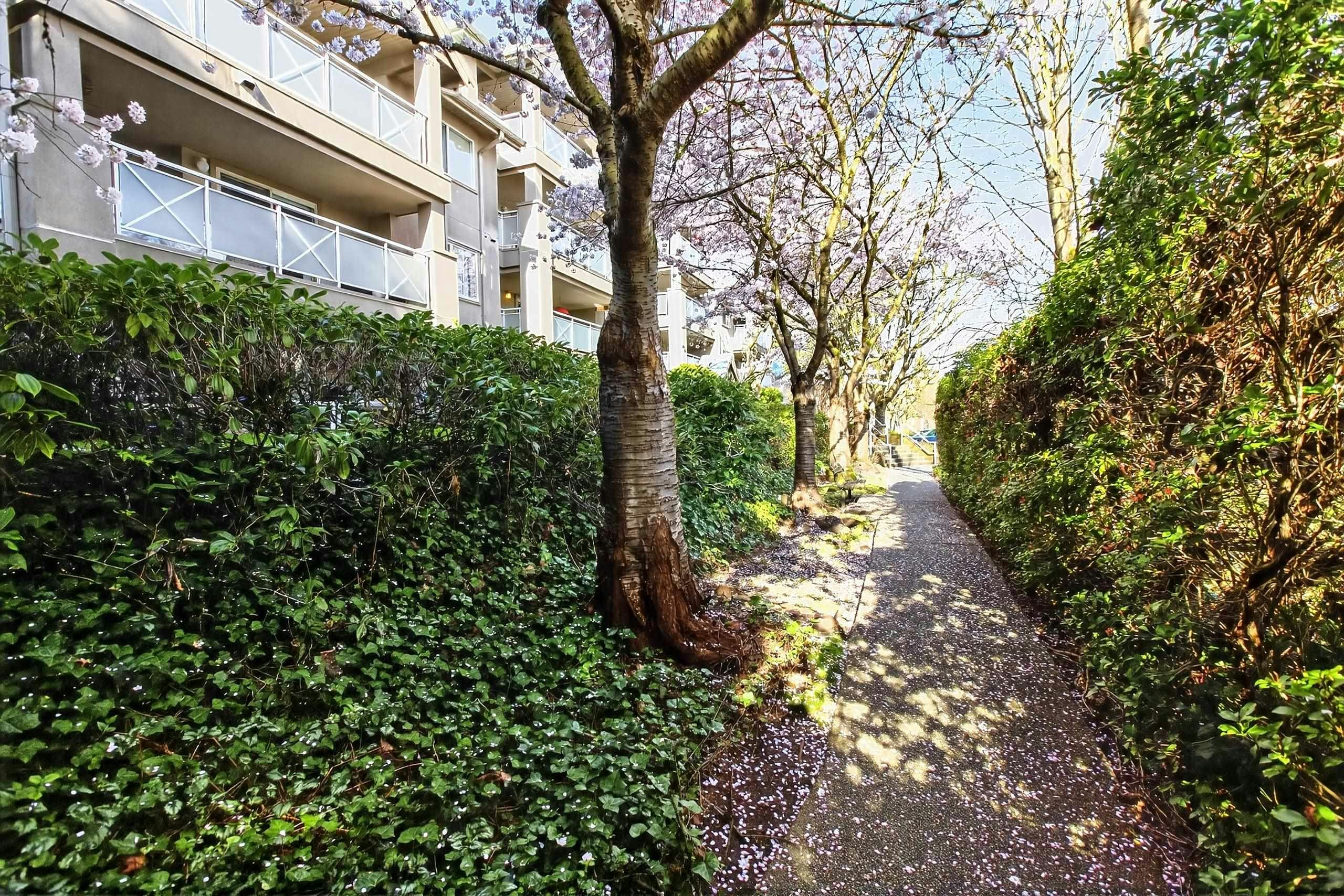 205-15140 29a Avenue, Surrey, BC, V4P 3B1 - 34