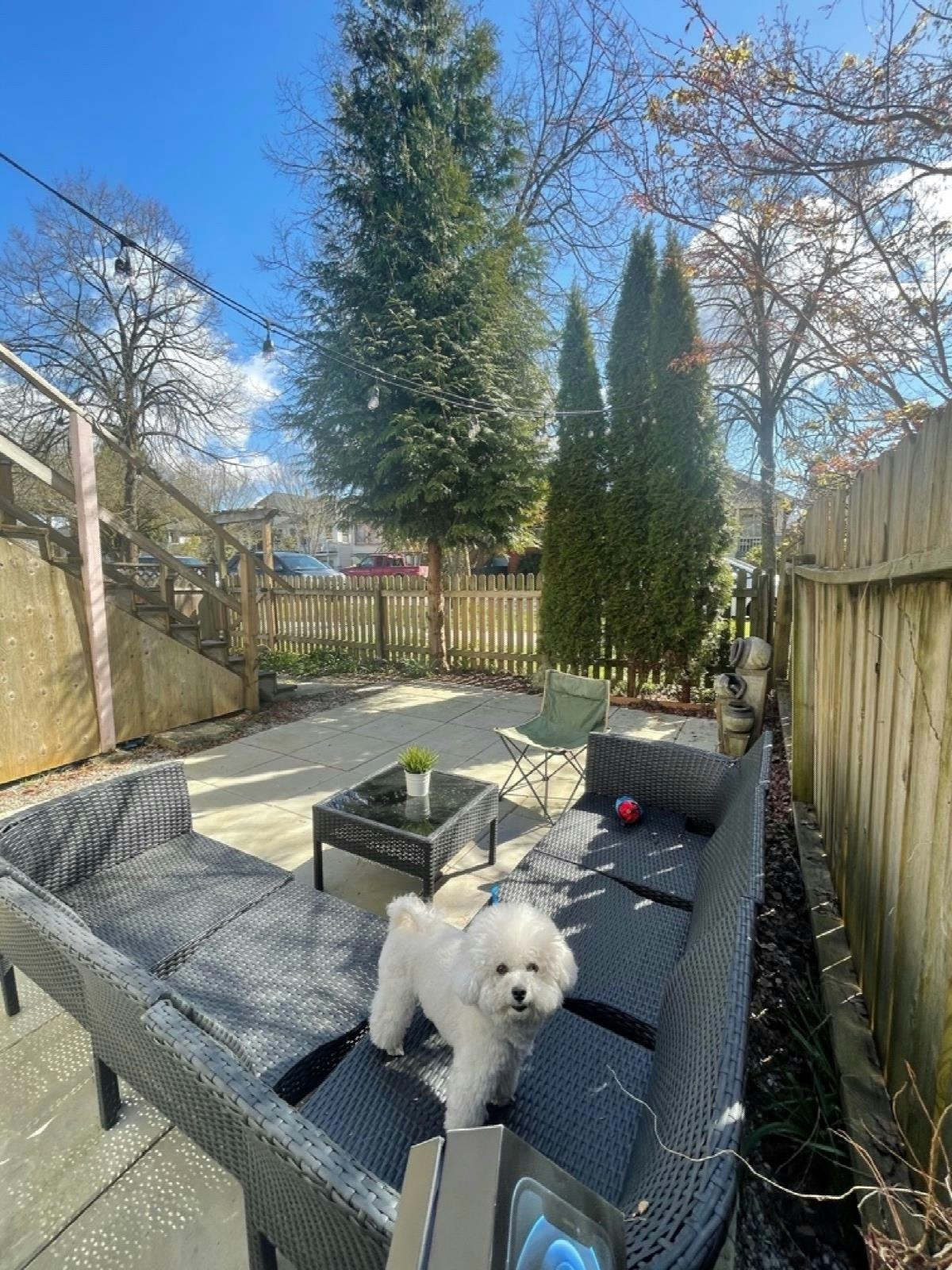 417 E 17 Avenue, Vancouver, BC, V5V 1B2 - 19
