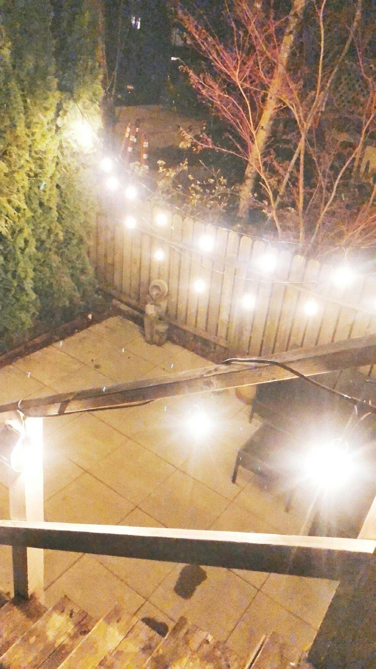 417 E 17 Avenue, Vancouver, BC, V5V 1B2 - 26