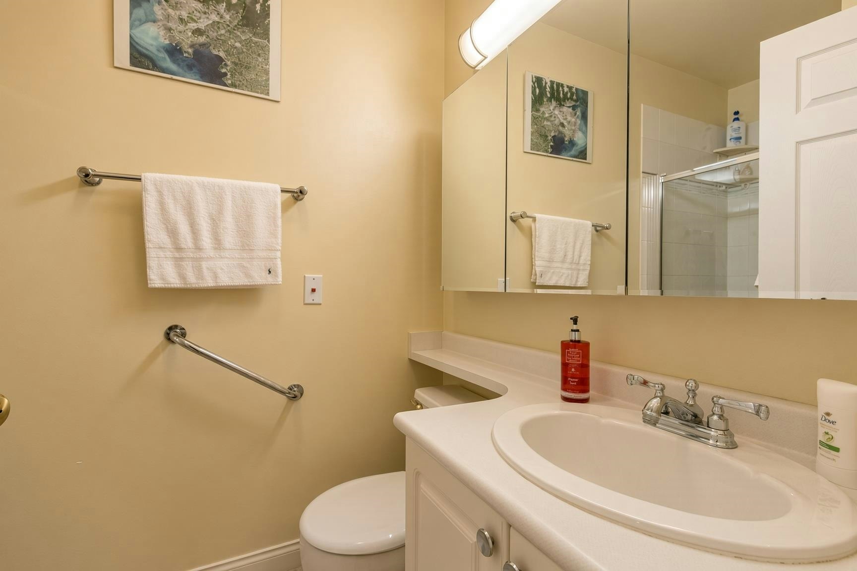 313-2995 Princess Crescent, Coquitlam, BC, V3B 7N1 - 10