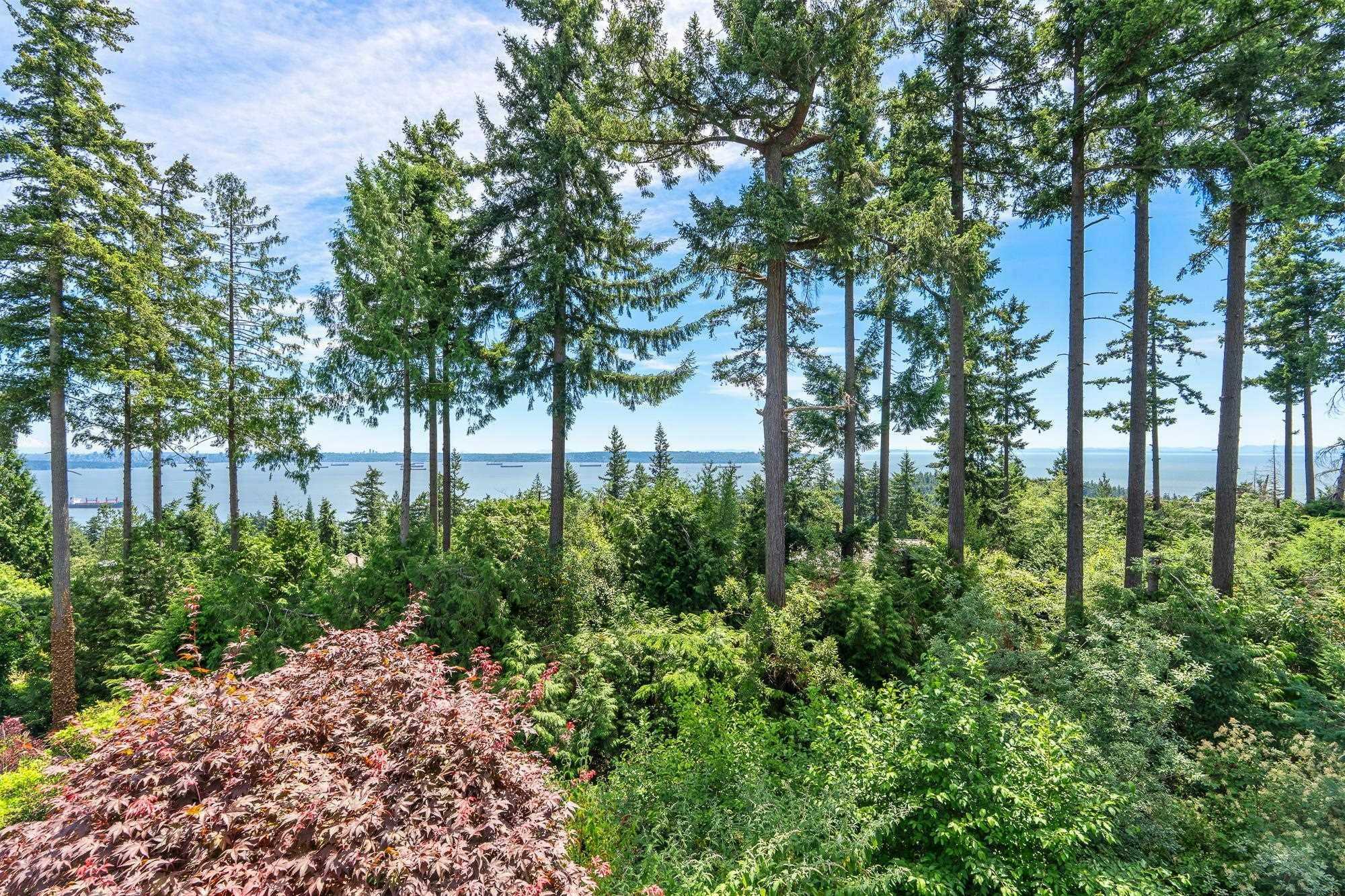 2-5402 West Vista Court - 4