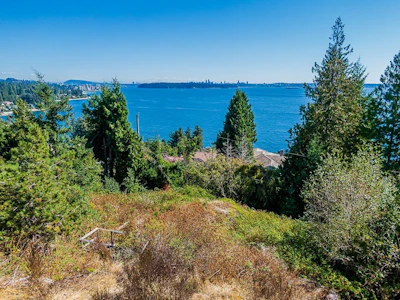 3609 Creery Avenue - 2
