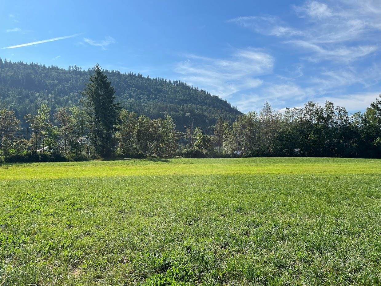 3705 Hot Springs Road - 4