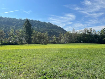 3705 Hot Springs Road - 4