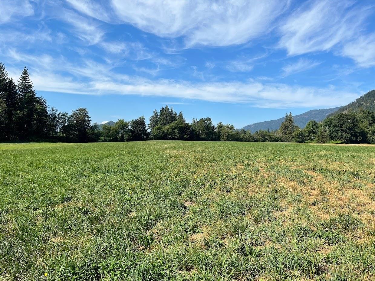 3705 Hot Springs Road - 5