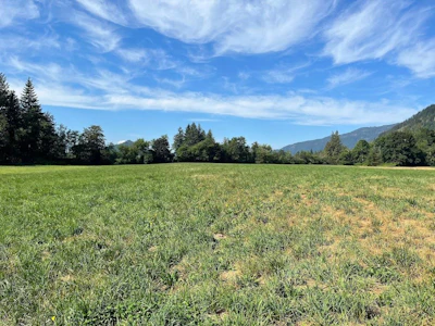 3705 Hot Springs Road - 5