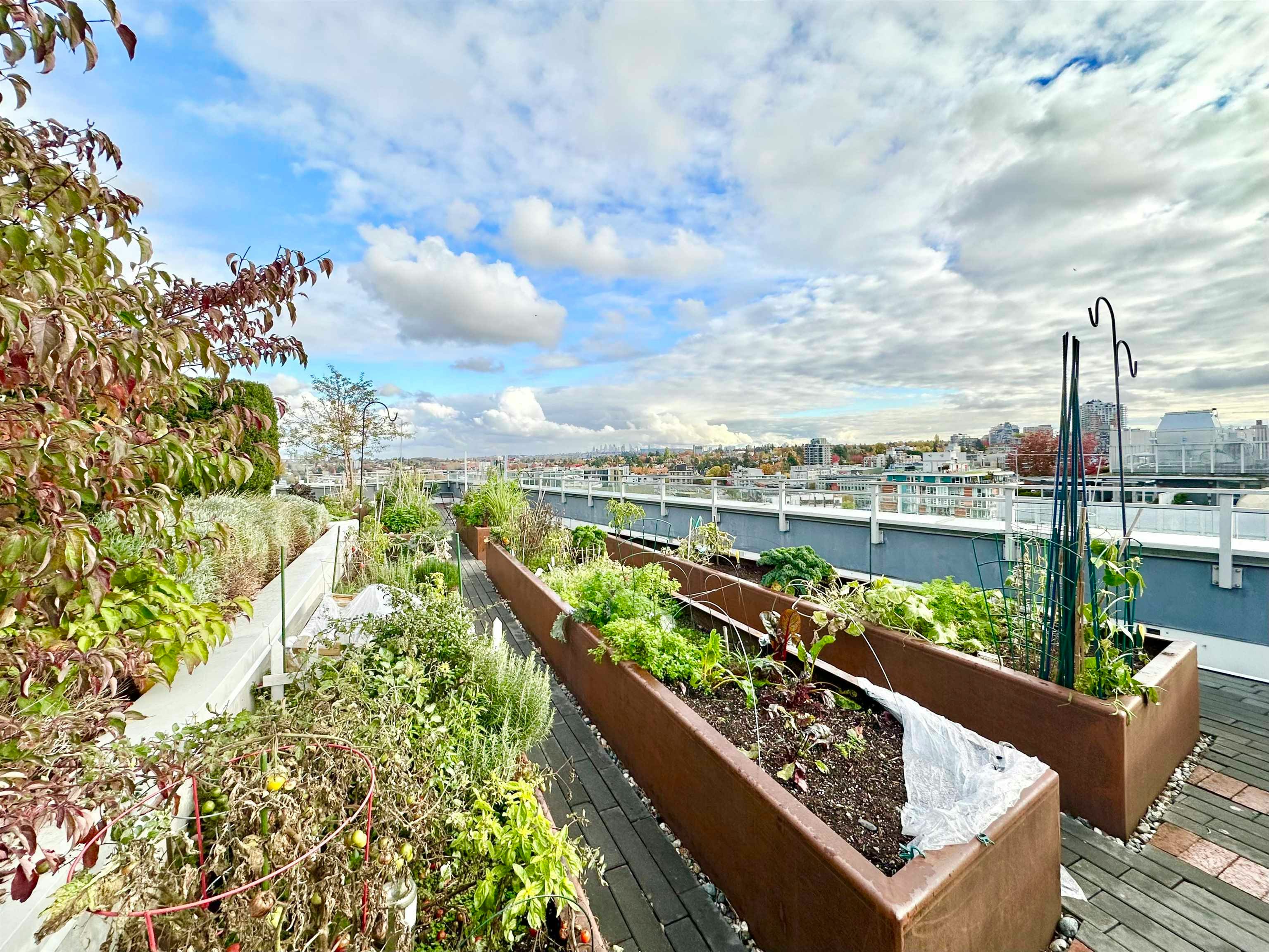 1103-111 1st E Avenue, Vancouver, BC, V6A 0E9 - 17