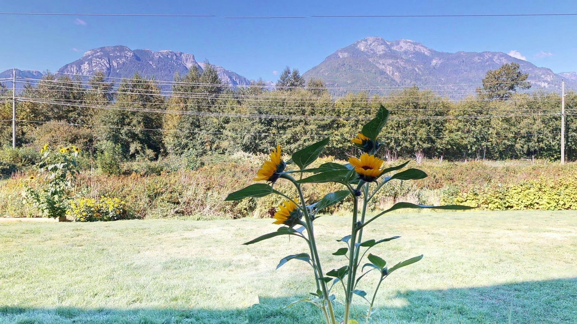 29-40653 Tantalus Road, Squamish, BC, V0N 1T0 - 36