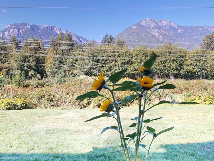 29-40653 Tantalus Road, Squamish, BC, V0N 1T0 - 36