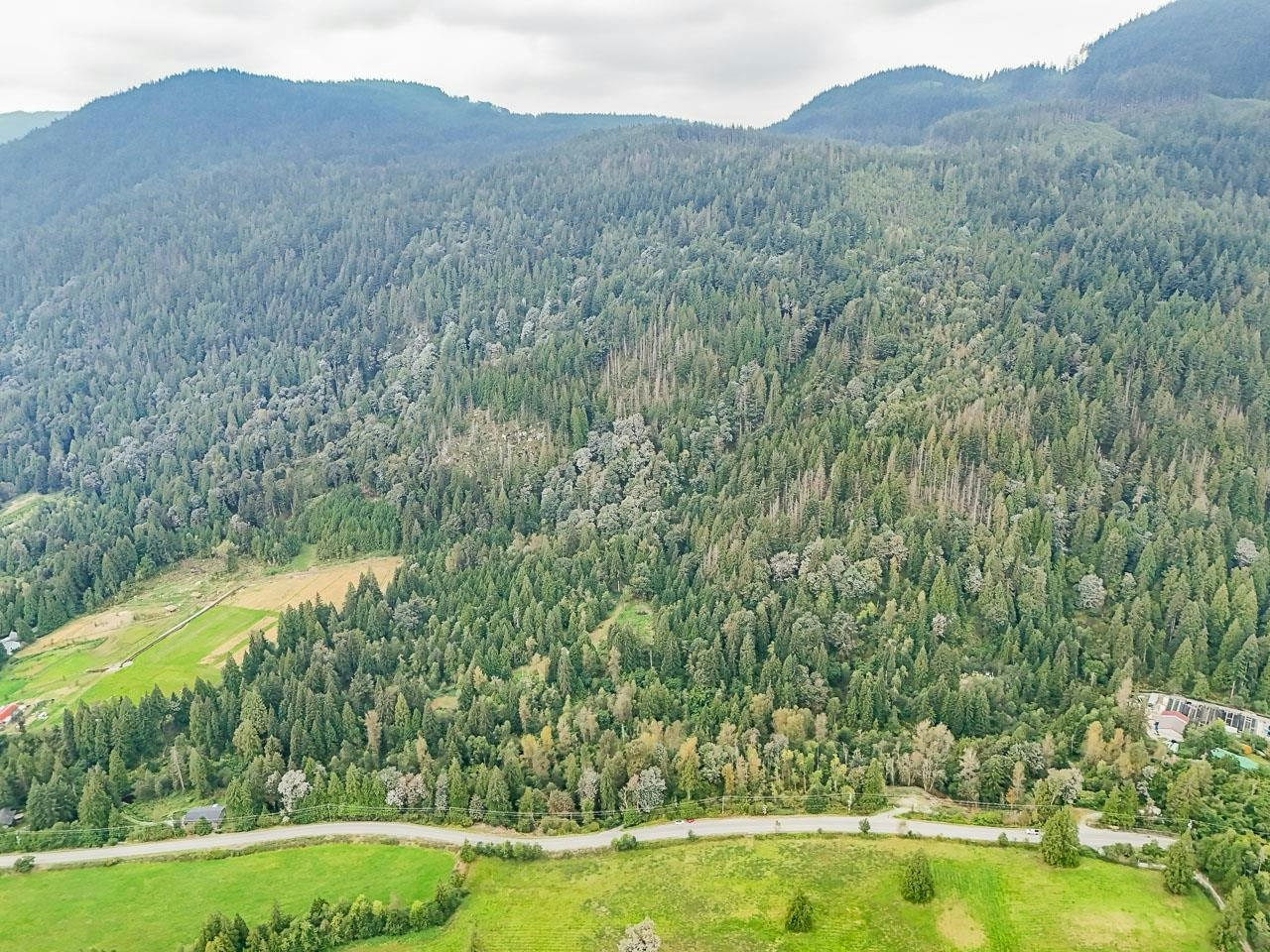 12241 Stave Lake Road - 2