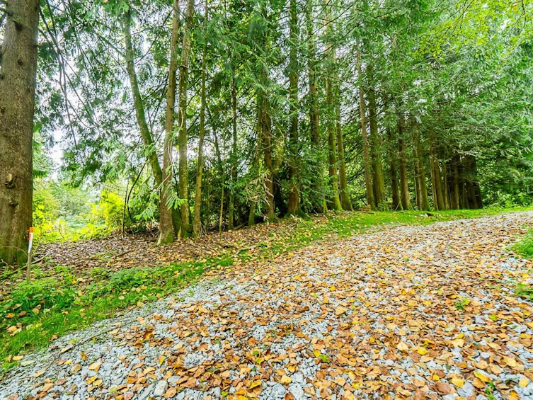 12241 Stave Lake Road, Mission, BC, V2V 0A6 - 15