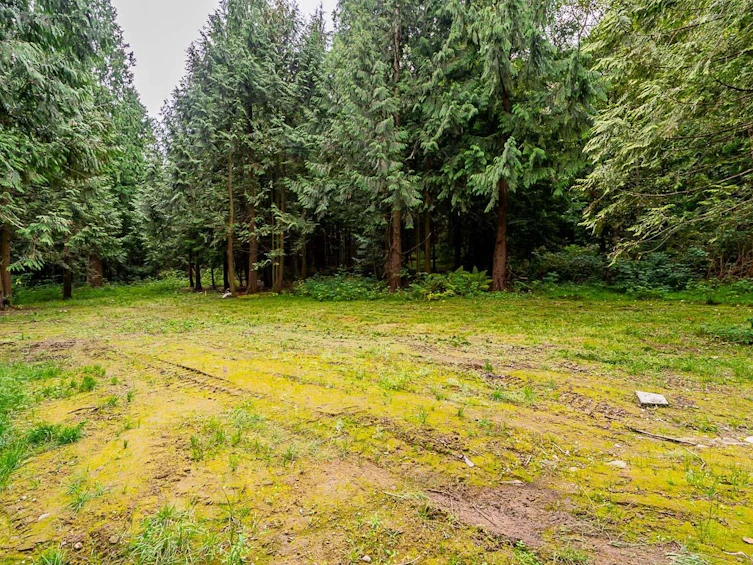 12241 Stave Lake Road, Mission, BC, V2V 0A6 - 28