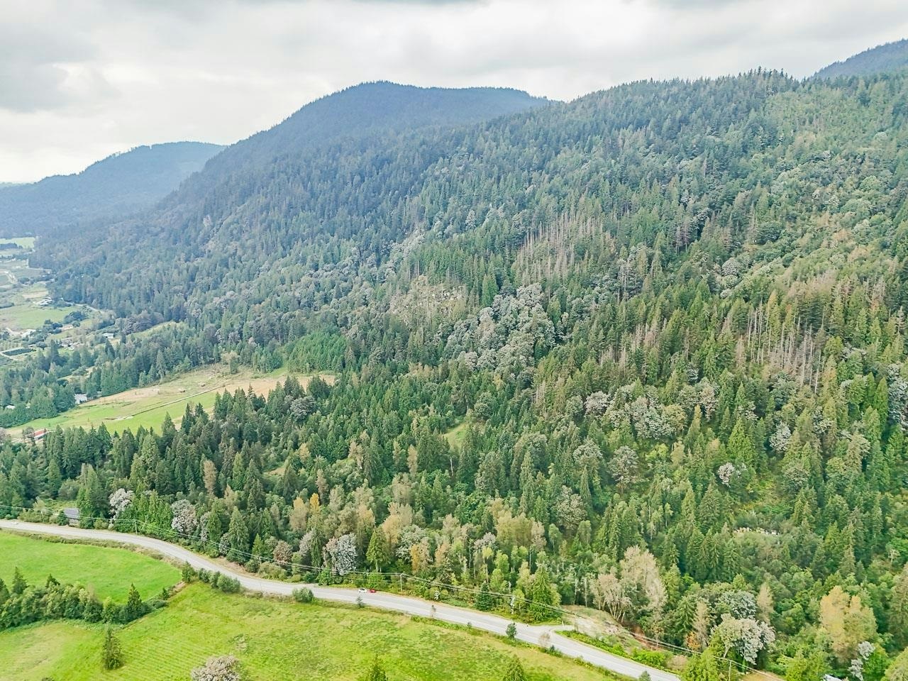 12241 Stave Lake Road - 3