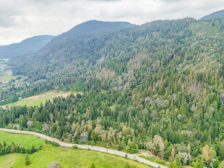 12241 Stave Lake Road, Mission, BC, V2V 0A6 - 3