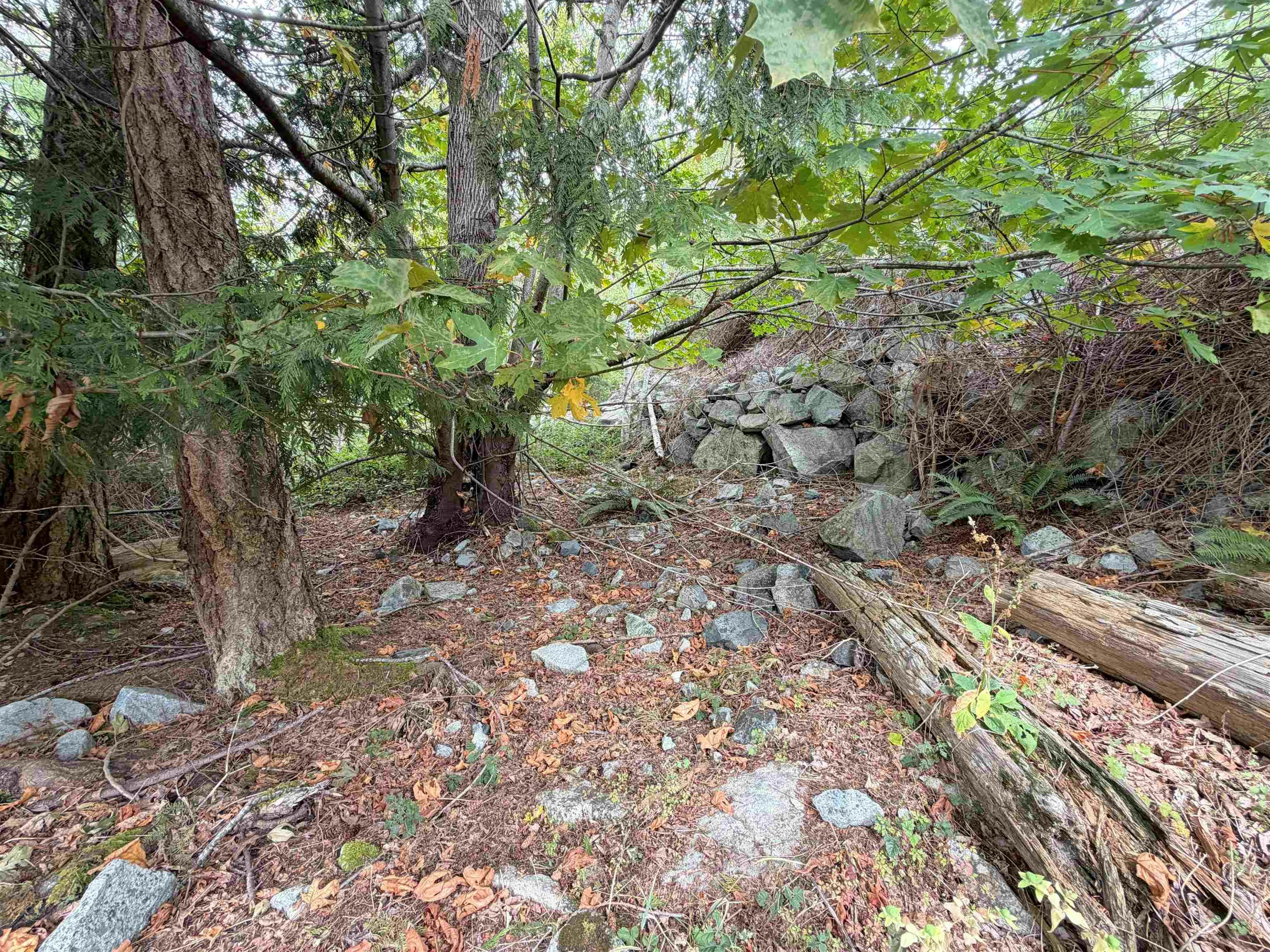 LOT 66 Packalen Boulevard, Pender Harbour Egmont, BC, V0N 1S1 - 18