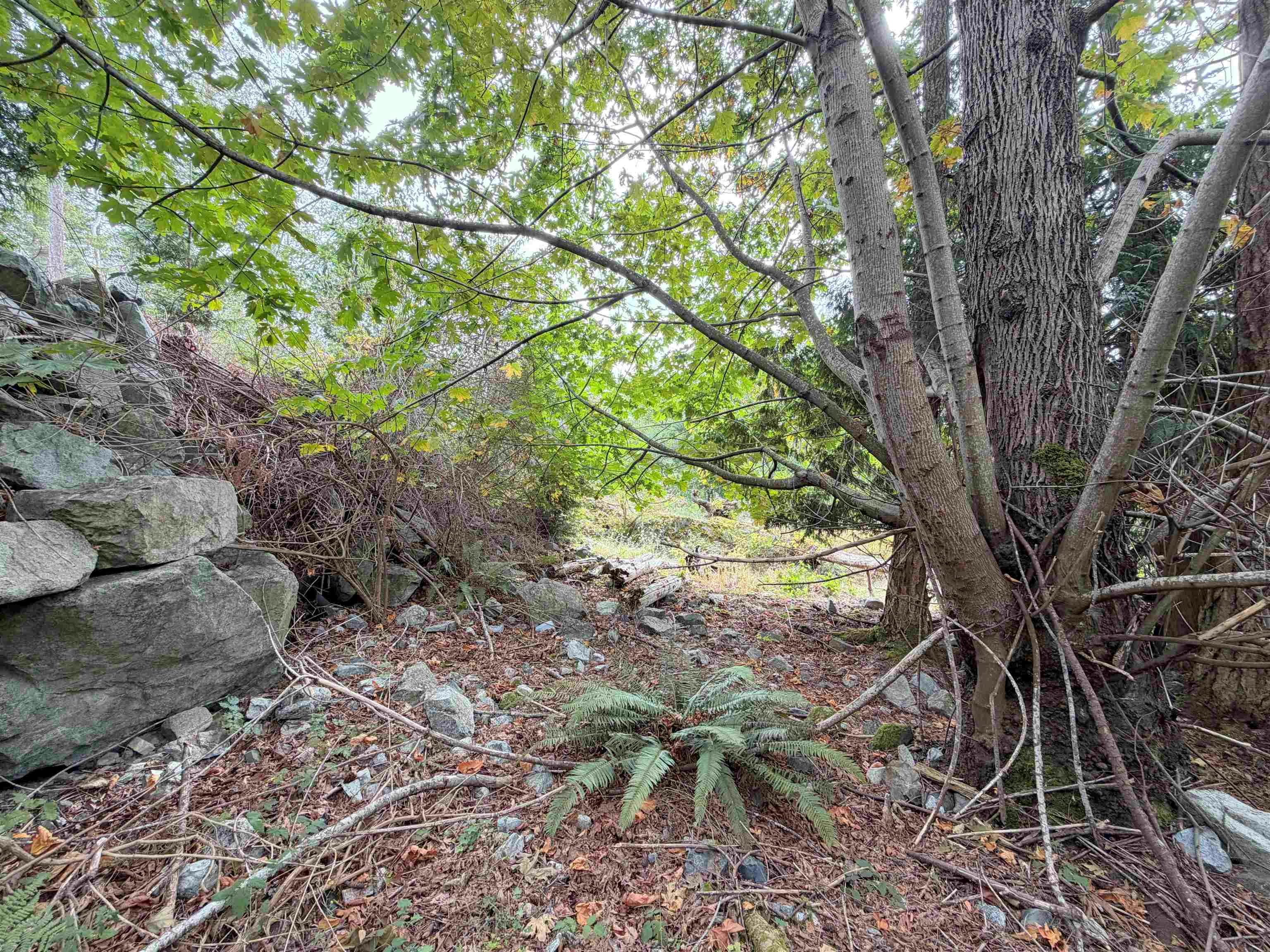 LOT 66 Packalen Boulevard, Pender Harbour Egmont, BC, V0N 1S1 - 13