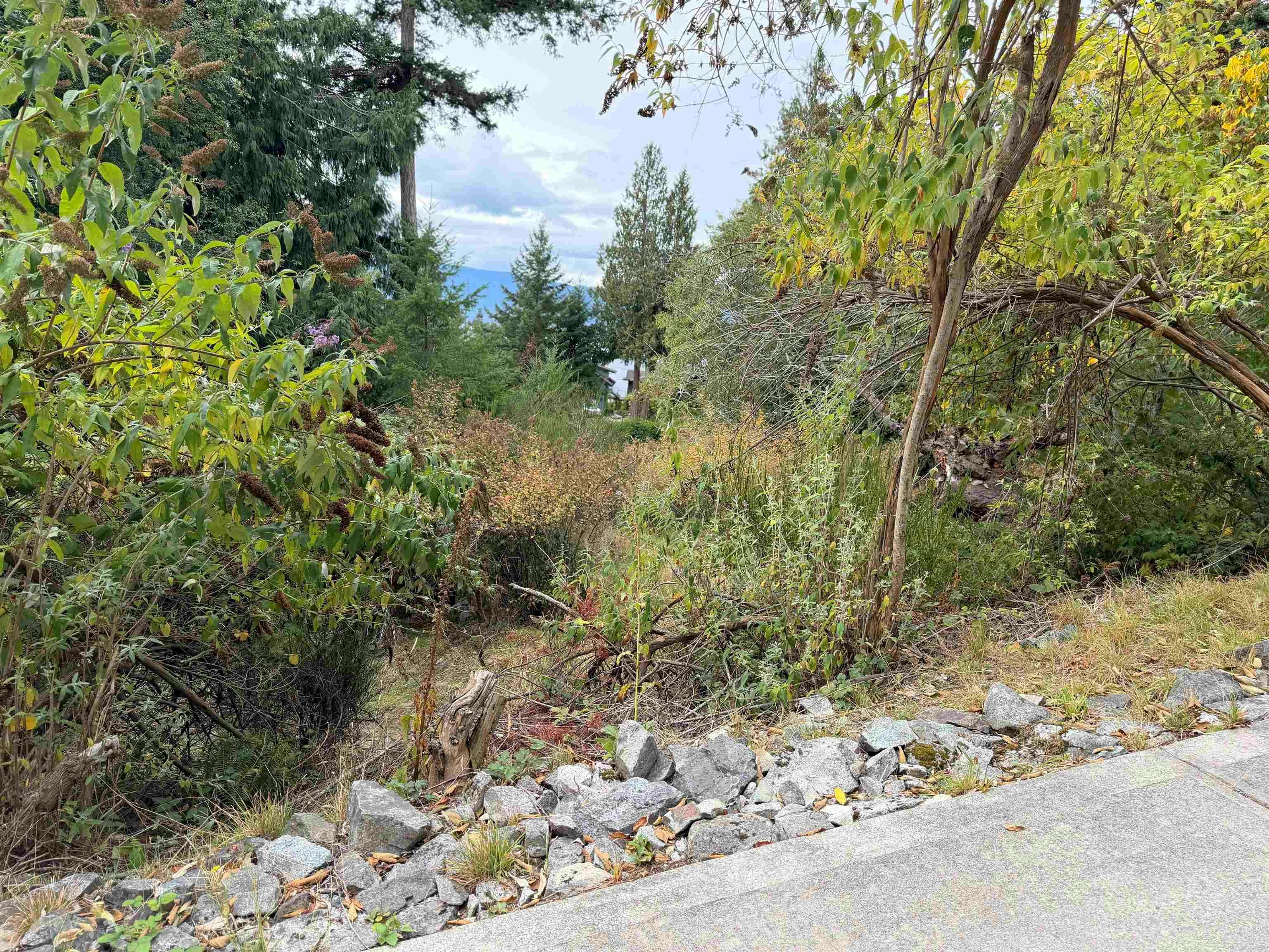 LOT 66 Packalen Boulevard - 4