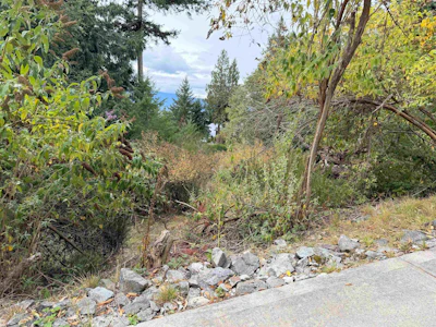 LOT 66 Packalen Boulevard - 4