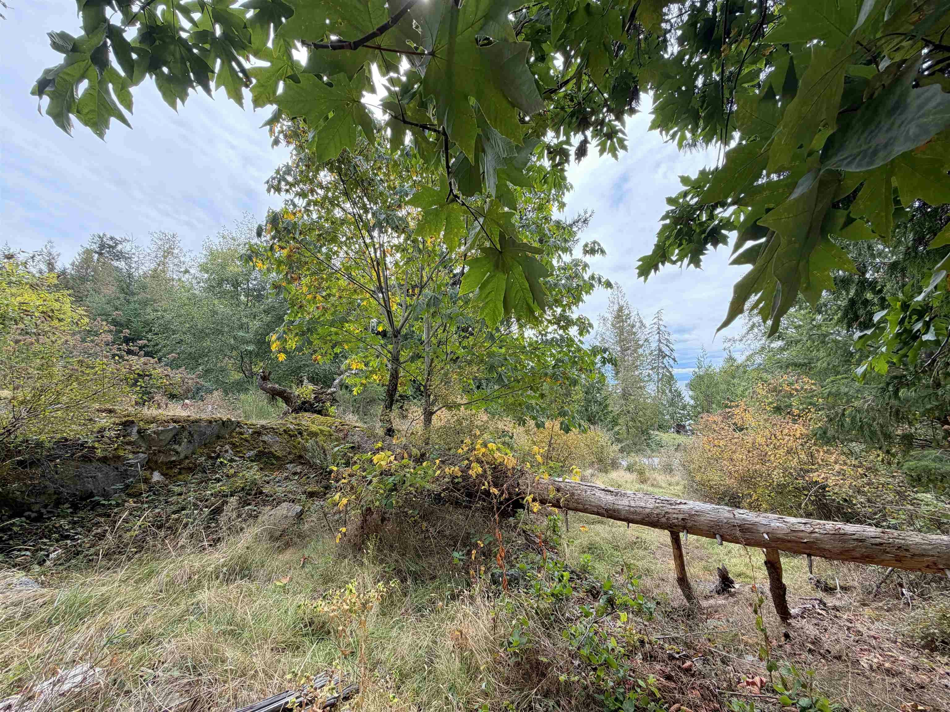 LOT 66 Packalen Boulevard, Pender Harbour Egmont, BC, V0N 1S1 - 15