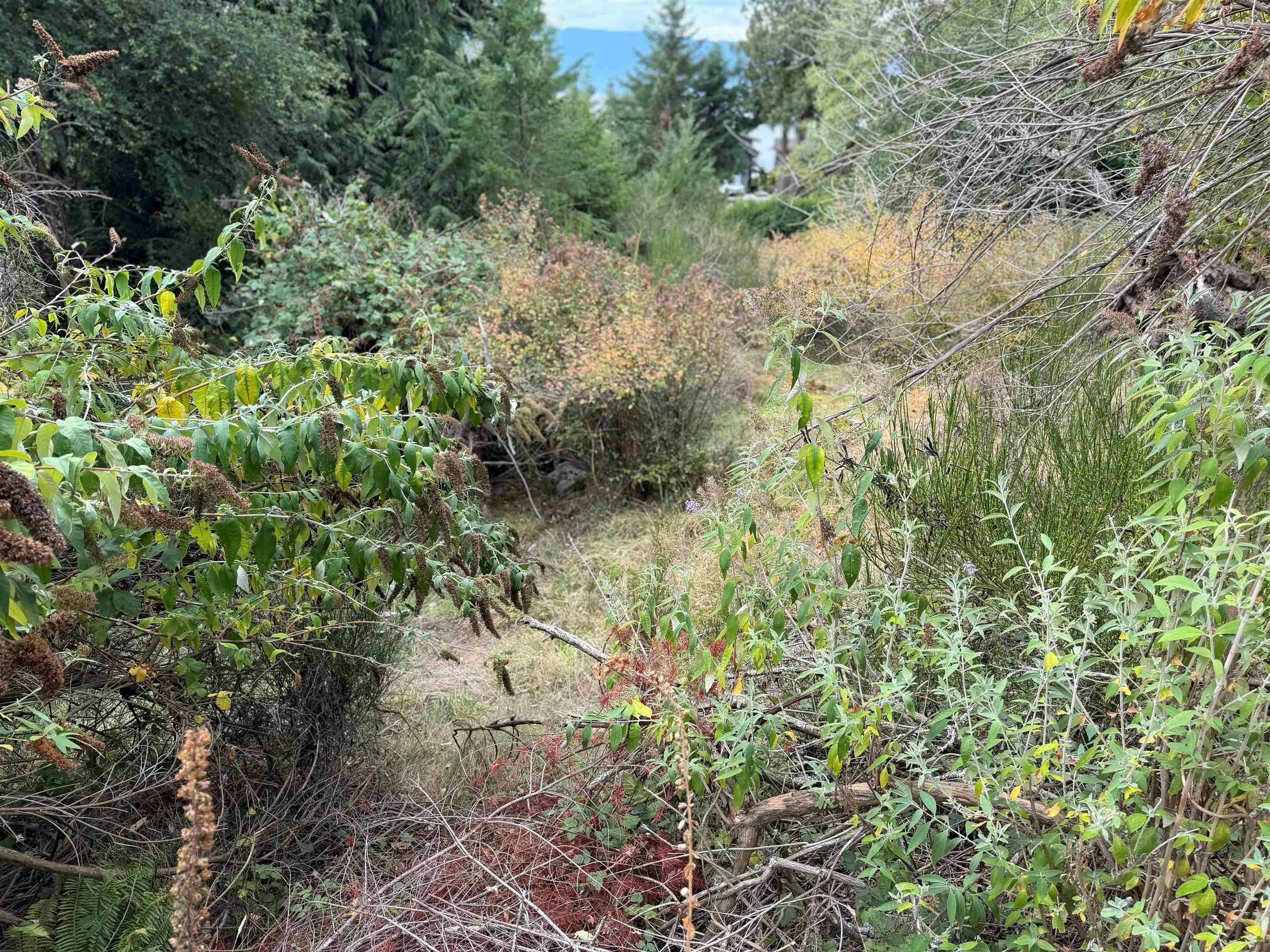 LOT 66 Packalen Boulevard, Pender Harbour Egmont, BC, V0N 1S1 - 12