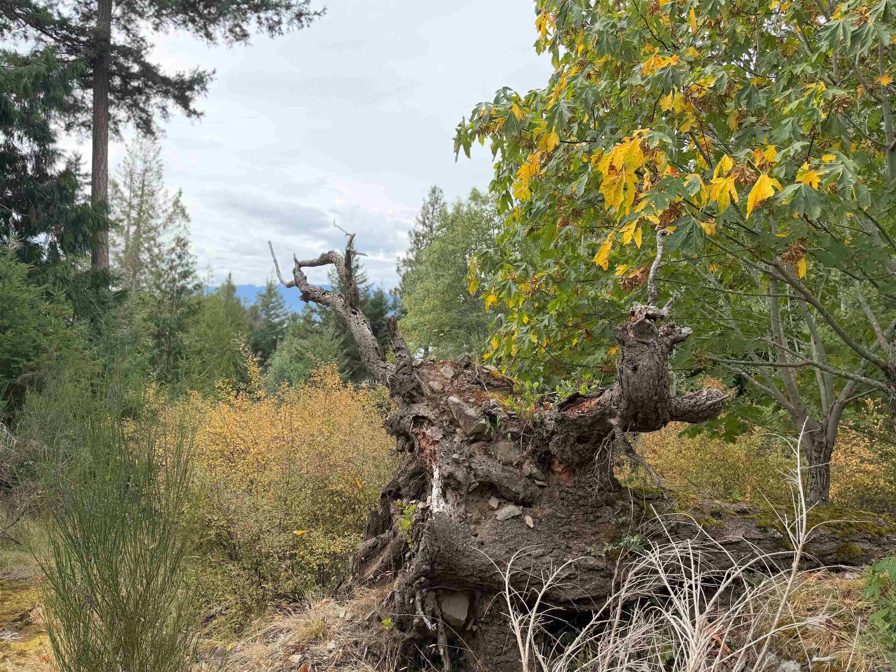 LOT 66 Packalen Boulevard, Pender Harbour Egmont, BC, V0N 1S1 - 9