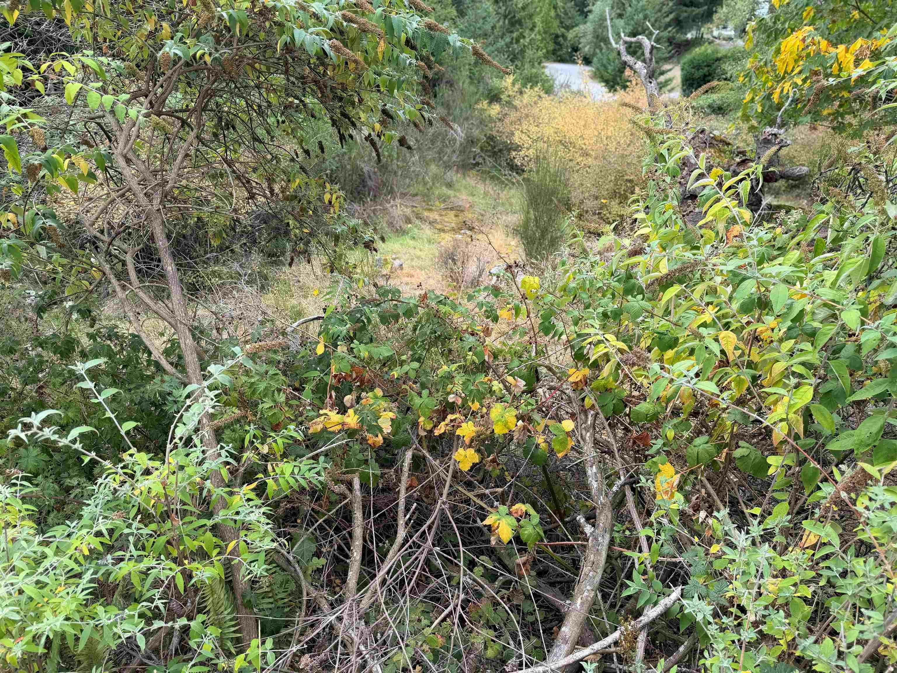 LOT 66 Packalen Boulevard, Pender Harbour Egmont, BC, V0N 1S1 - 11