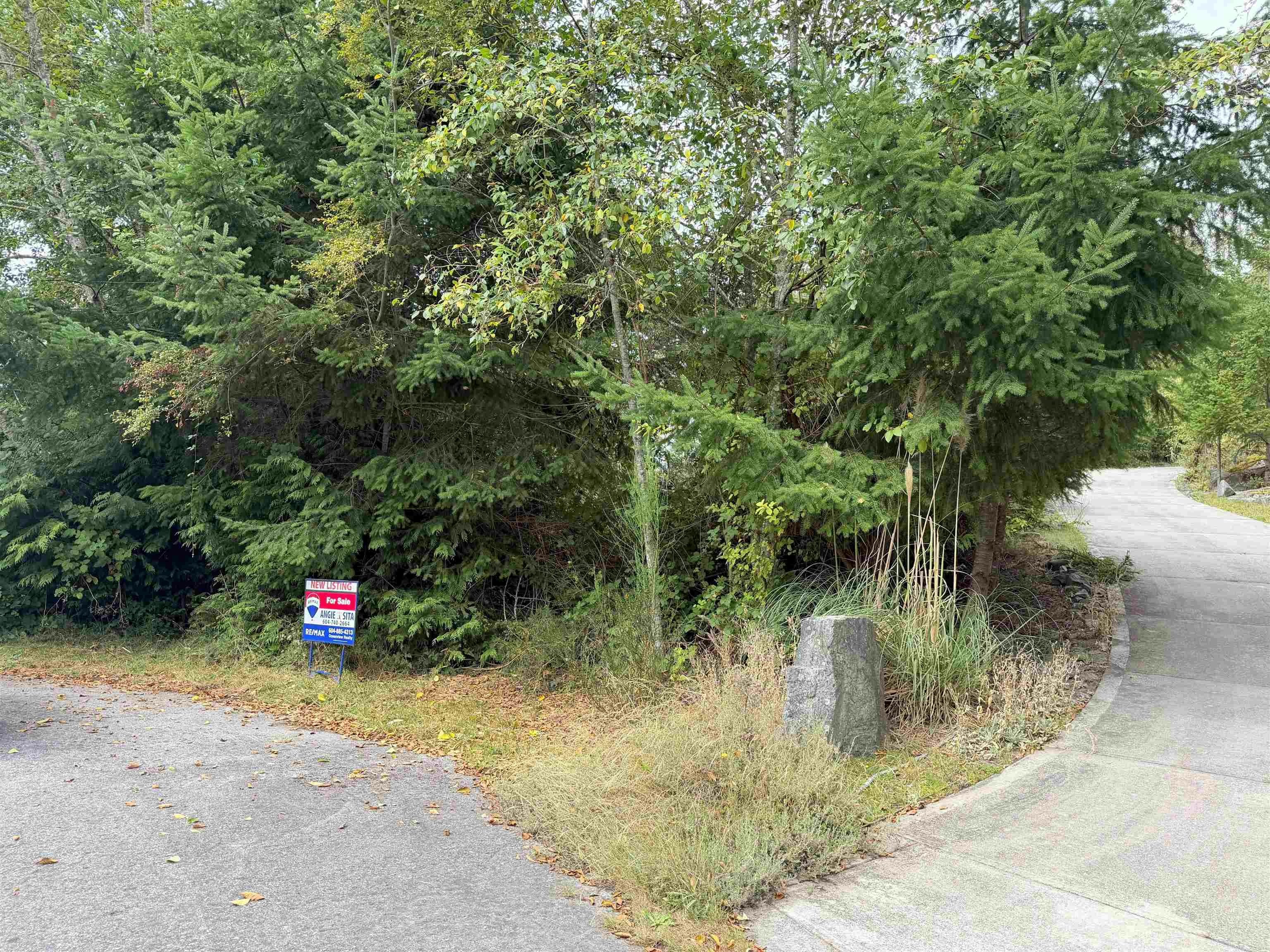 LOT 66 Packalen Boulevard - 3