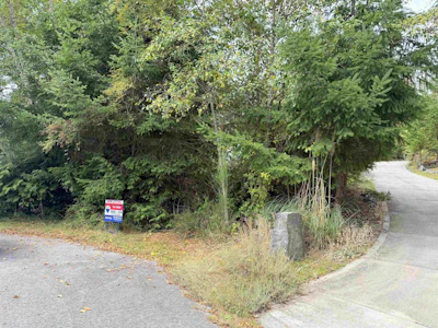 LOT 66 Packalen Boulevard - 3
