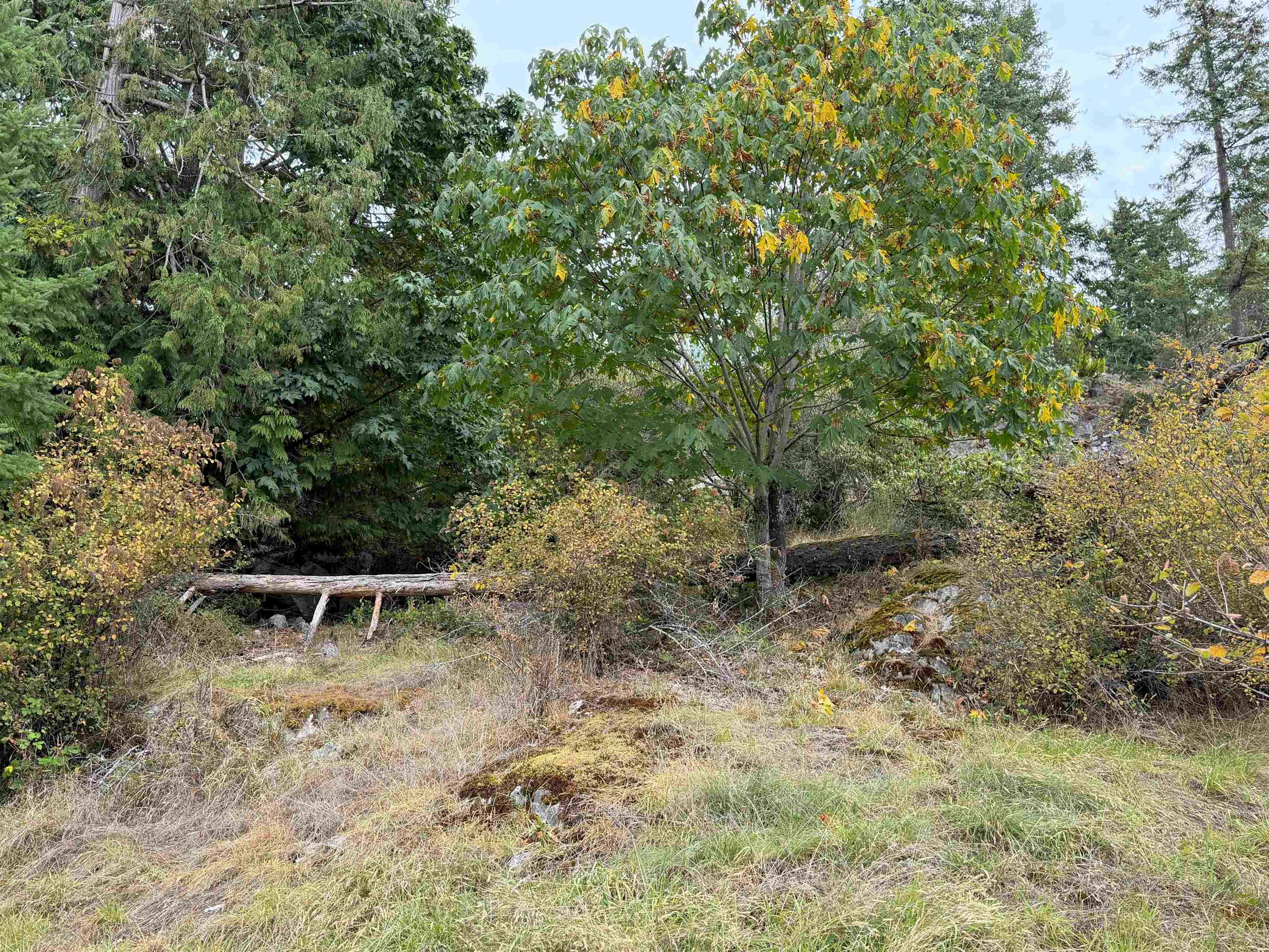 LOT 66 Packalen Boulevard, Pender Harbour Egmont, BC, V0N 1S1 - 10