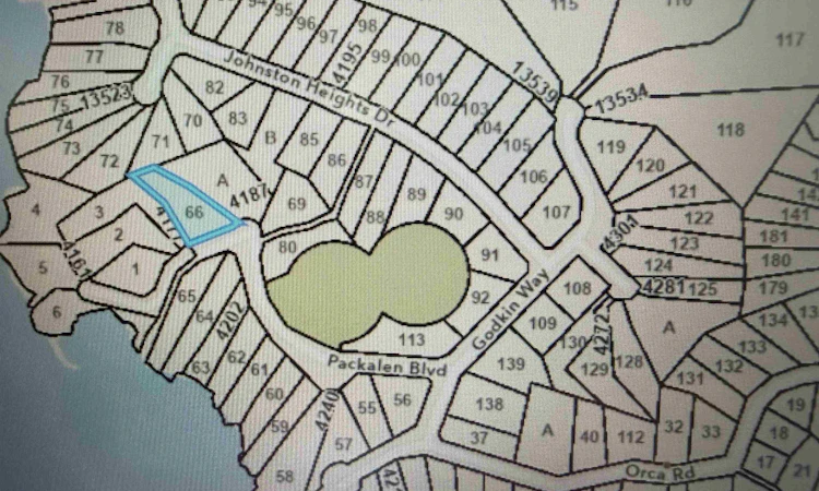 LOT 66 Packalen Boulevard