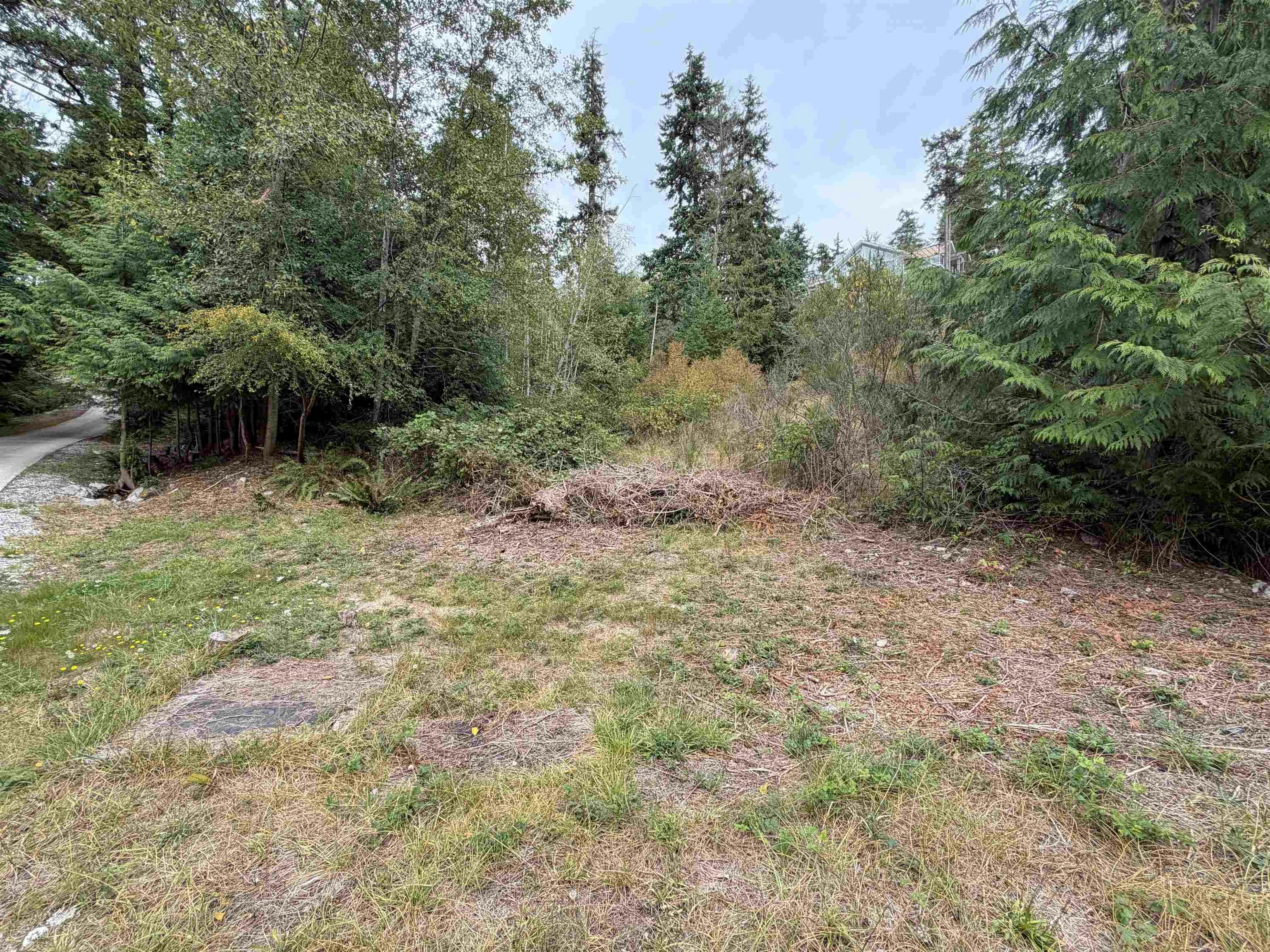 LOT 66 Packalen Boulevard - 5