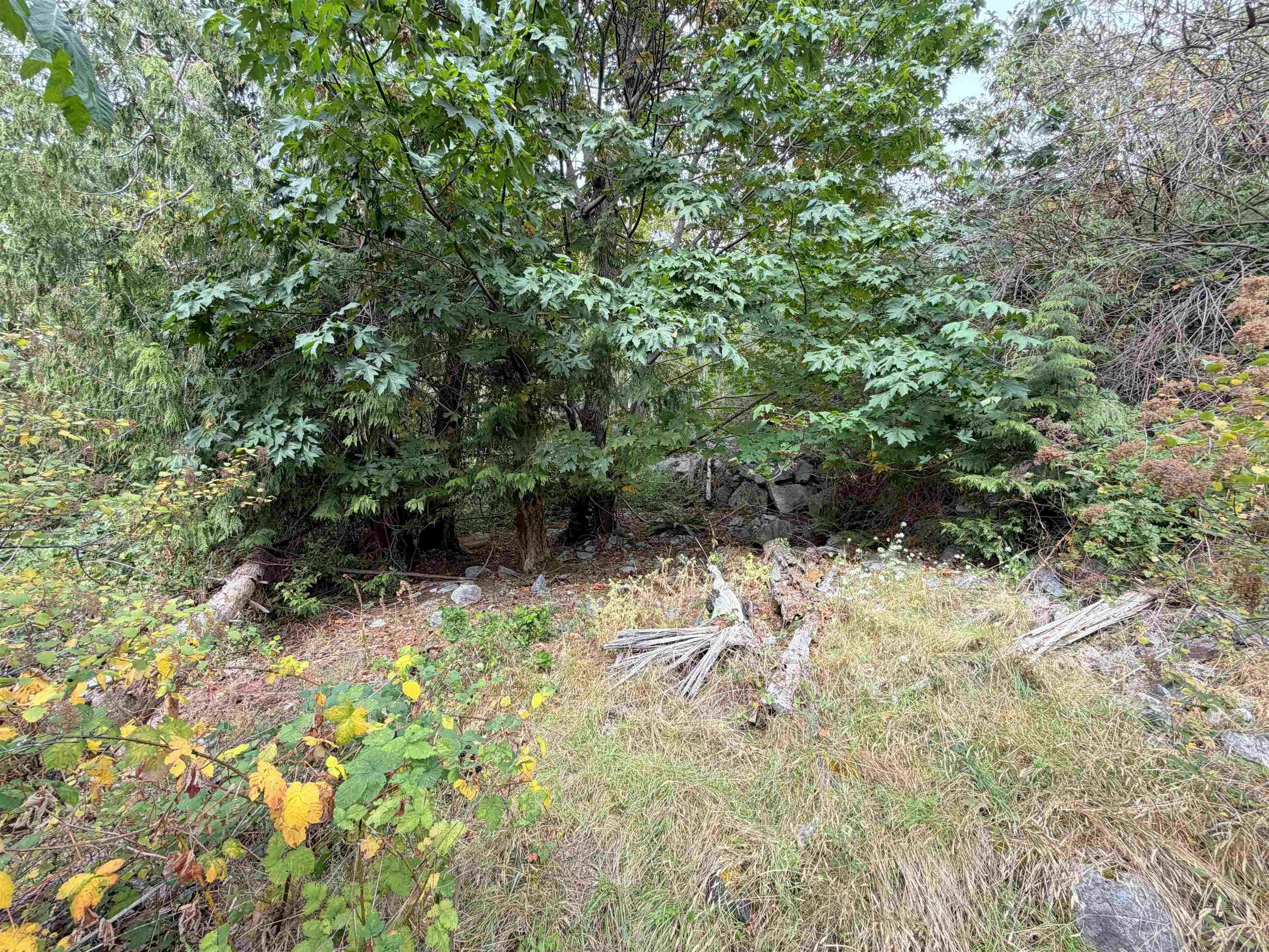 LOT 66 Packalen Boulevard, Pender Harbour Egmont, BC, V0N 1S1 - 8