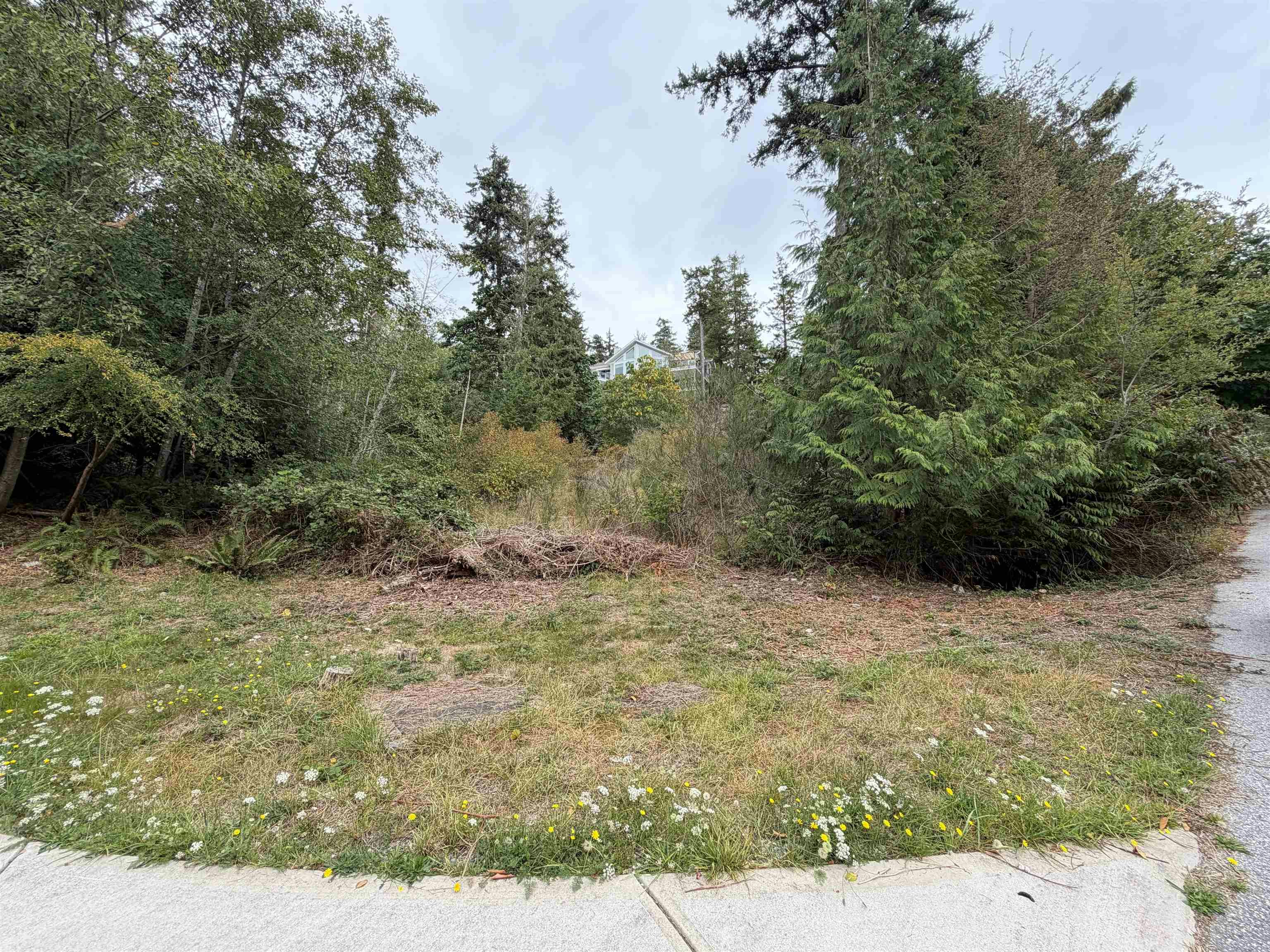 LOT 66 Packalen Boulevard - 2