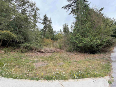 LOT 66 Packalen Boulevard - 2