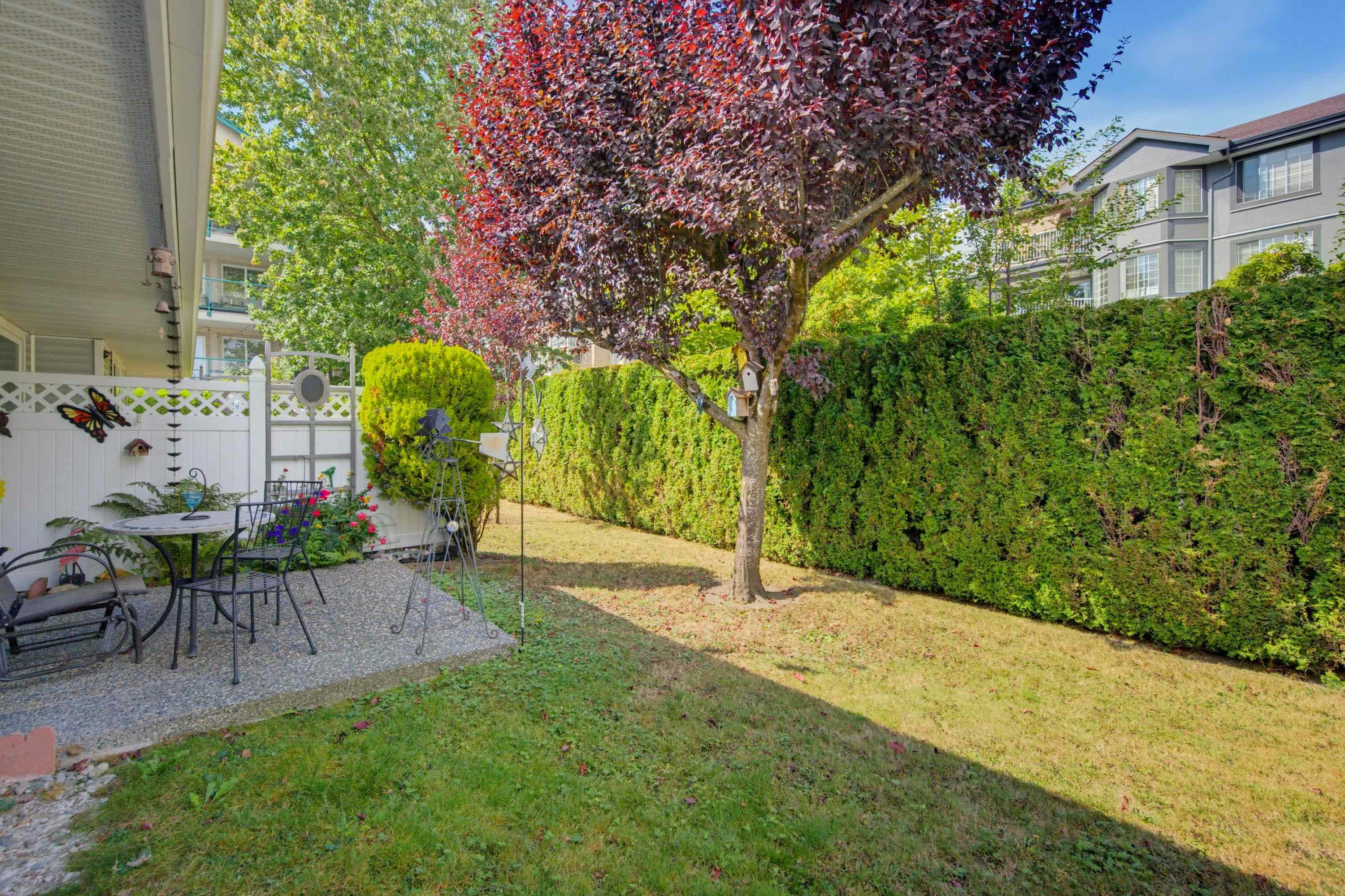11-5365 205 Street, Langley, BC, V3A 7V7 - 32