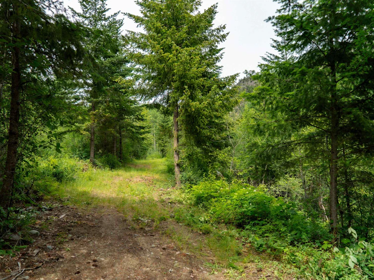 DL3238 Highline Road, Whistler, BC - 20