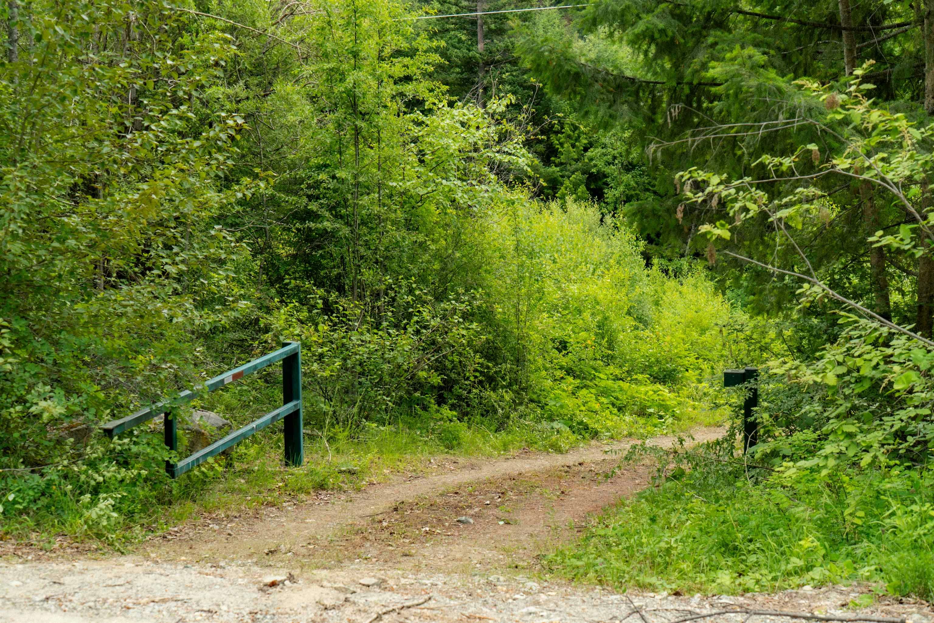 DL3238 Highline Road, Whistler, BC - 31