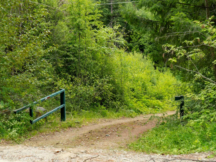 DL3238 Highline Road, Whistler, BC - 31