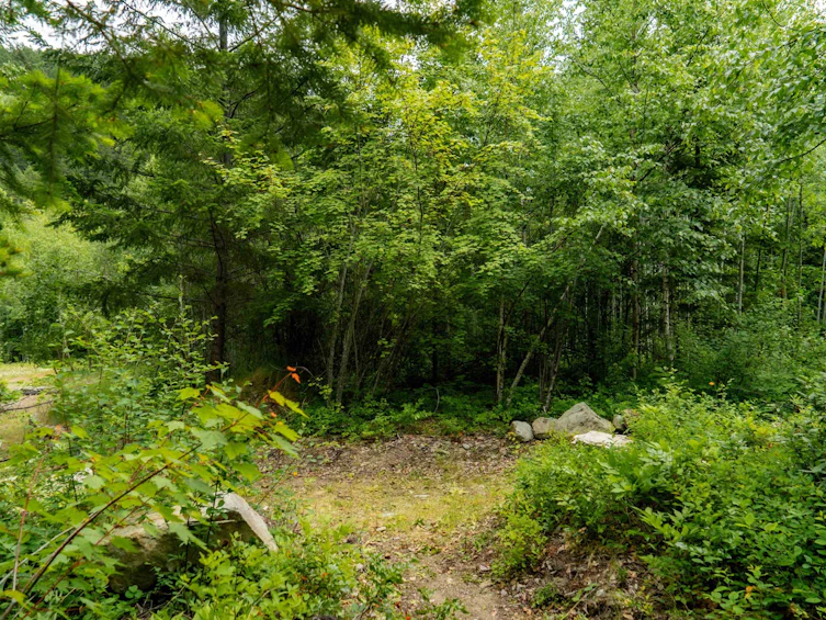 DL3238 Highline Road, Whistler, BC - 17