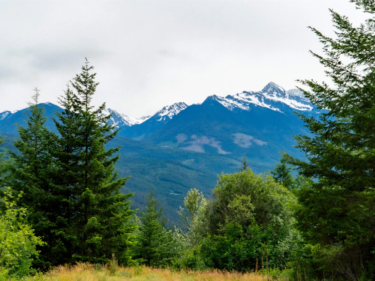 DL3238 Highline Road, Whistler, BC - 40