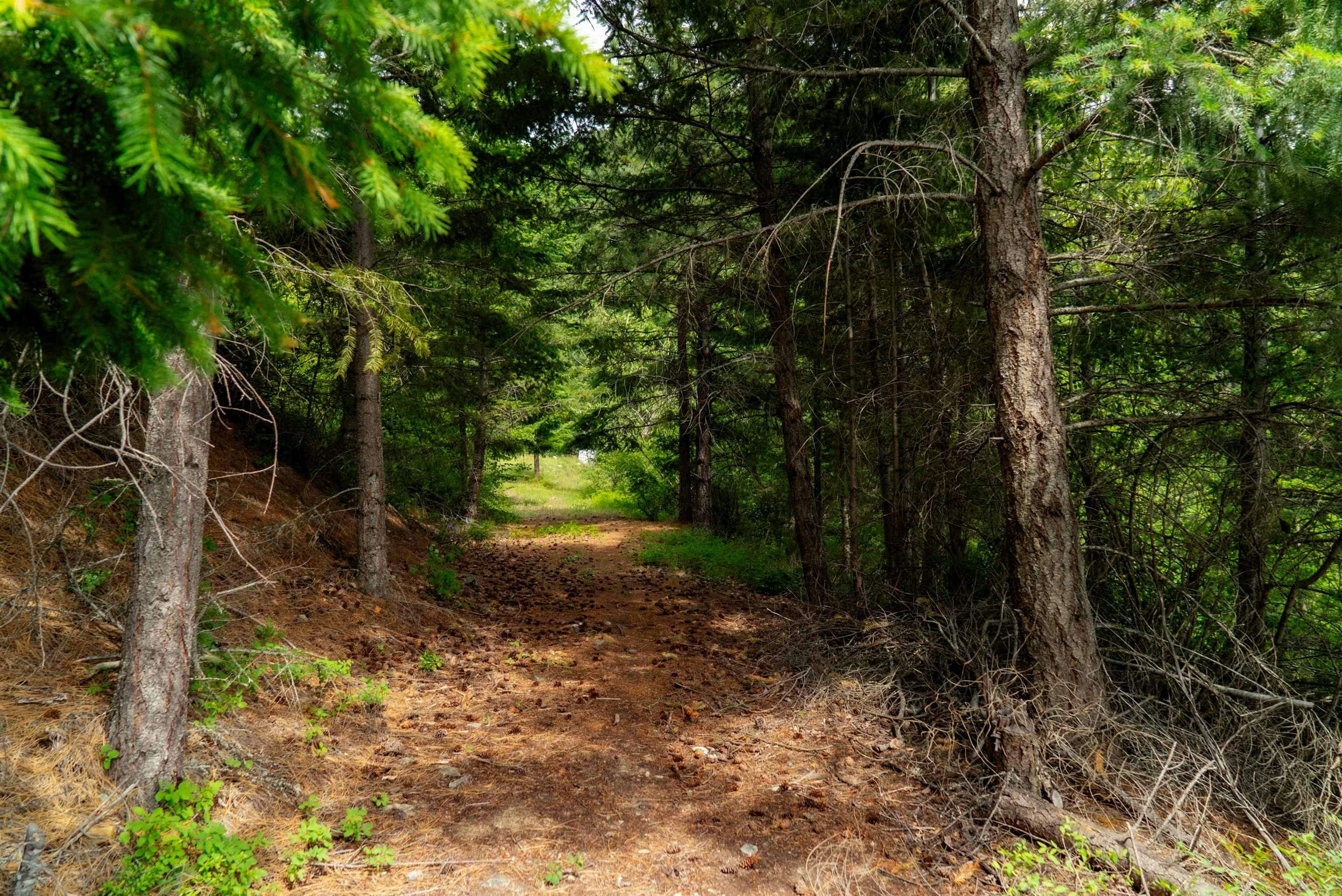 DL3238 Highline Road, Whistler, BC - 28
