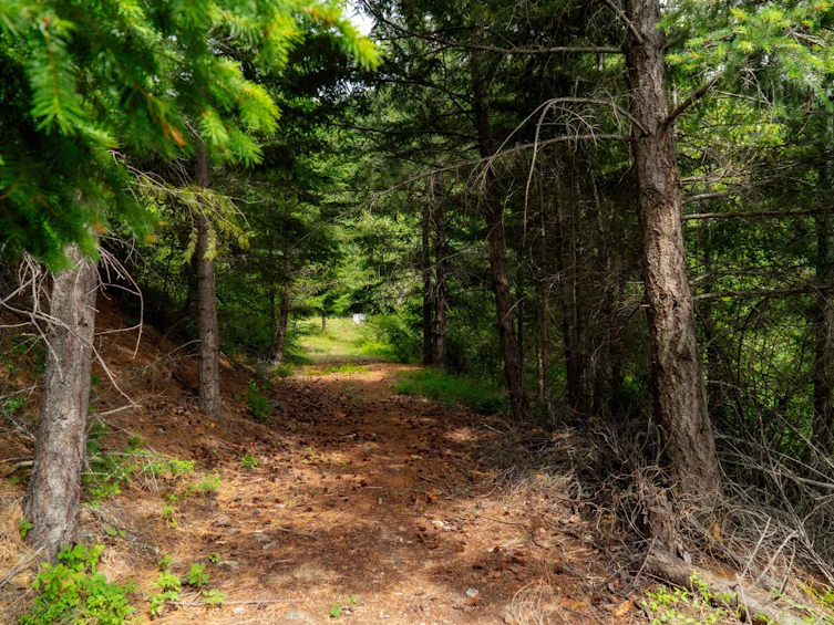 DL3238 Highline Road, Whistler, BC - 28