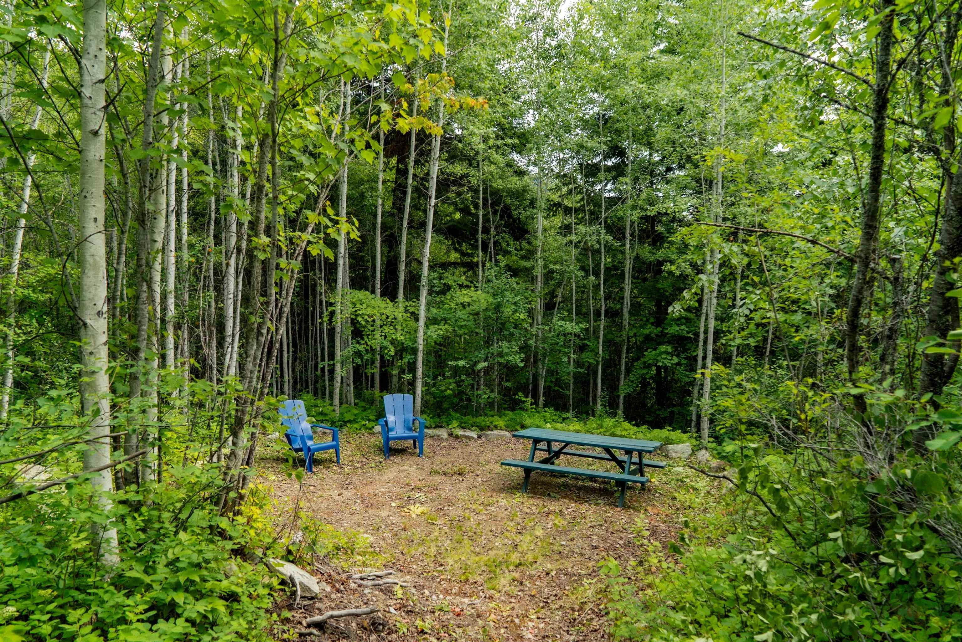 DL3238 Highline Road, Whistler, BC - 15