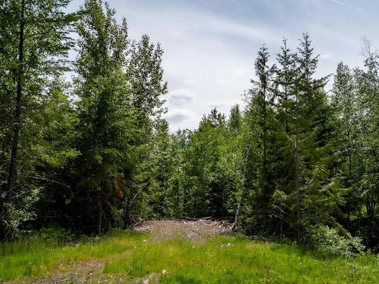DL3238 Highline Road, Whistler, BC - 19