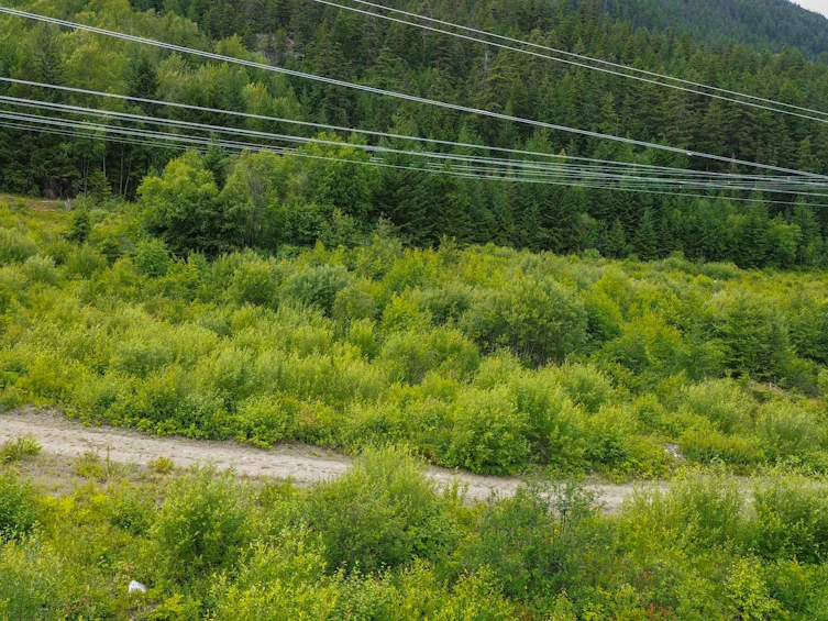DL3238 Highline Road, Whistler, BC - 32