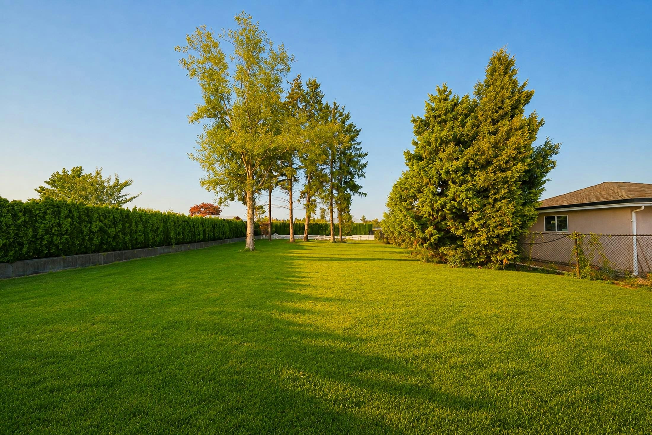 11531 Blundell Road, Richmond, BC, V6Y 1L4 - 39