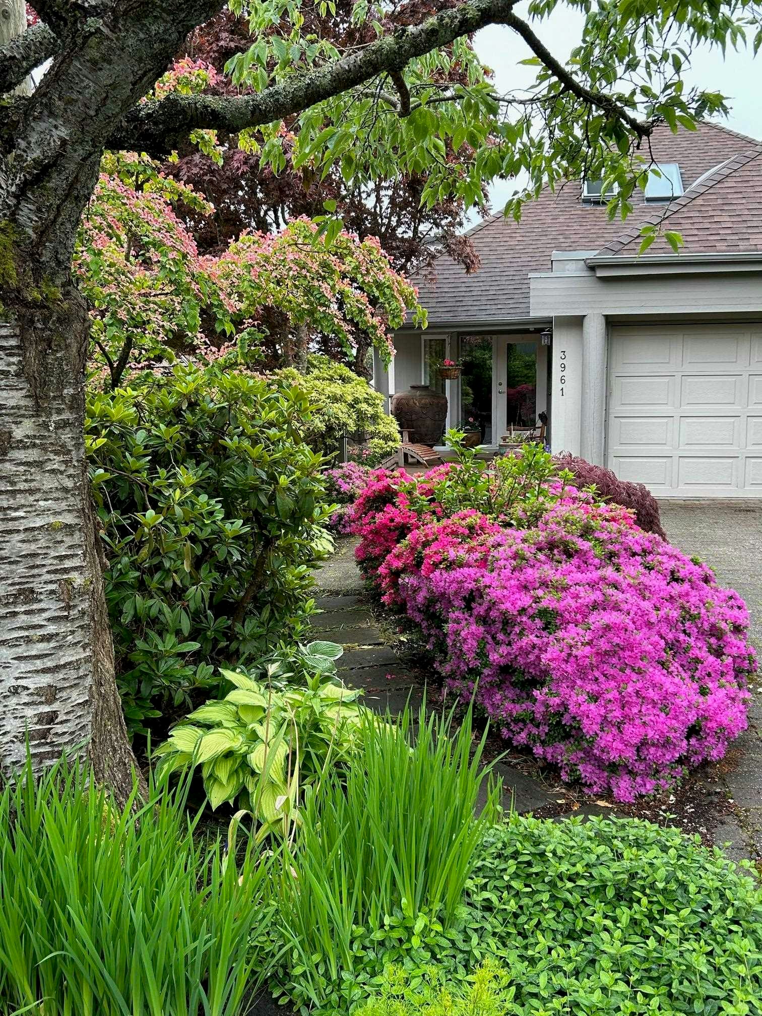 3961 St. Albans Avenue, North Vancouver, BC, V7N 1S9 - 39