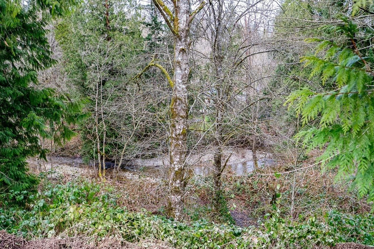 12041 256th Street, Maple Ridge, BC, V4R 1B5 - 25