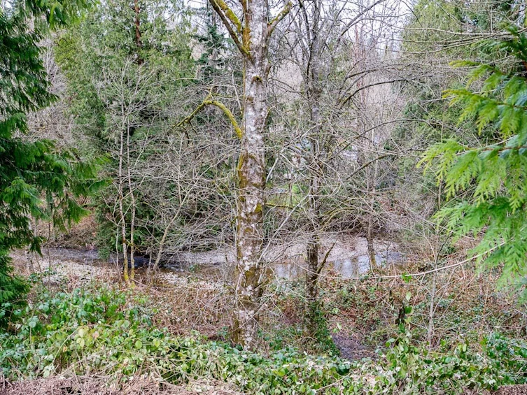12041 256th Street, Maple Ridge, BC, V4R 1B5 - 25