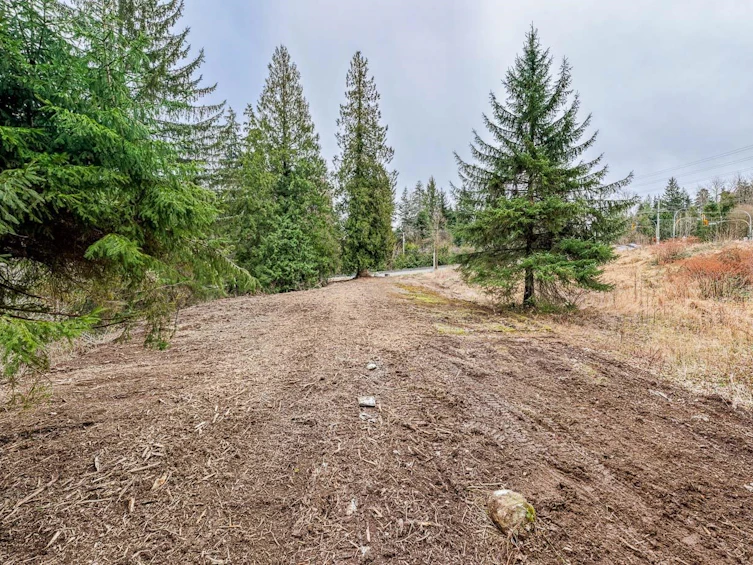 12041 256th Street, Maple Ridge, BC, V4R 1B5 - 17